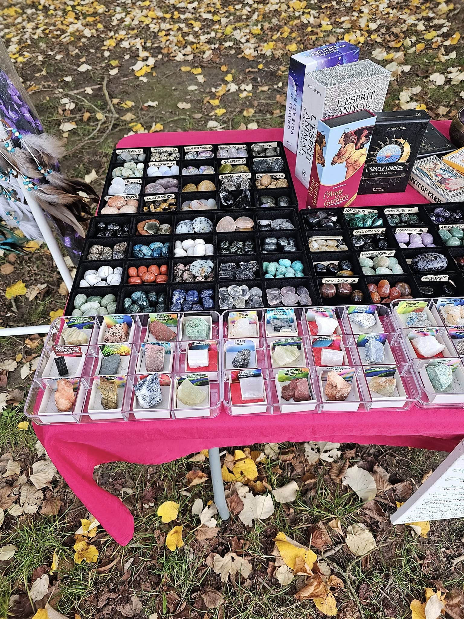 Pierres semi-précieuses et cristaux — Katia Voyance